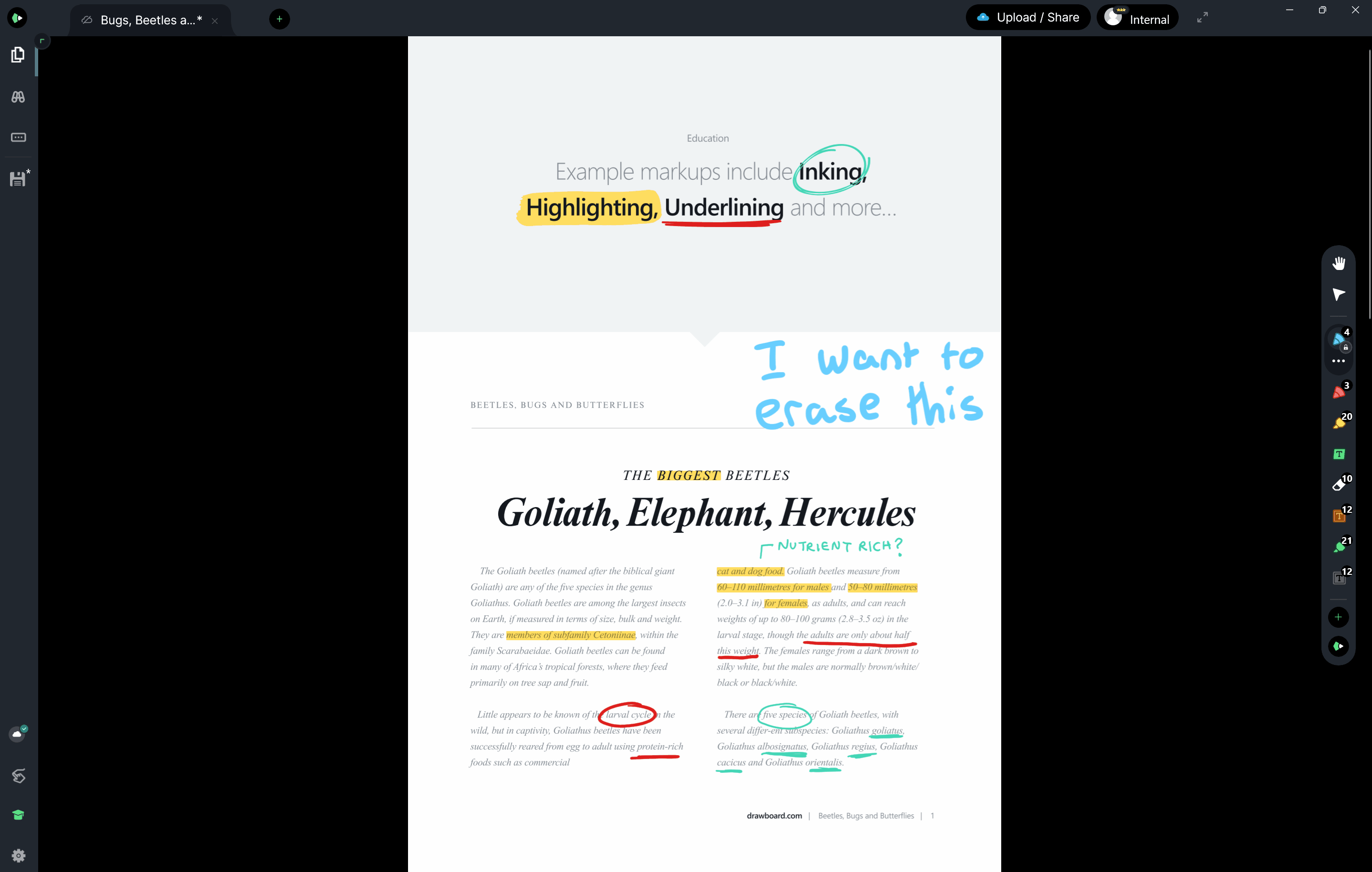 How to use the PDF eraser tool Drawboard